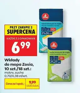 Biedronka Wkłady do mopa Zosia, 10 szt./18 szt oferta