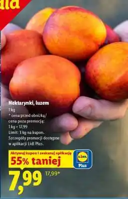 Lidl Nektarynki, luzem oferta