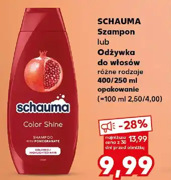 Kaufland Schauma Szampon lub Odżywka do włosów oferta