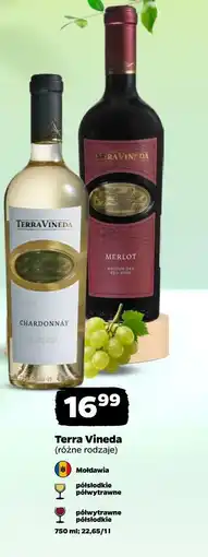 Netto Terra Vineda (różne rodzaje) oferta