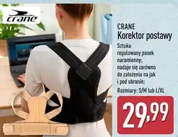 ALDI CRANE Korektor postawy oferta