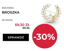 Briju Broszka Briju BR-000095 oferta