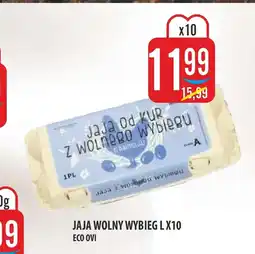 MOKPOL Jaja Eco ovi oferta