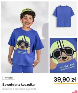 Coccodrillo Koszulka bawełniana Coccodrillo niebieska z nadrukiem psa pilota oferta