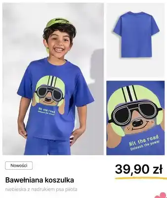 Koszulka bawełniana Coccodrillo niebieska z nadrukiem psa pilota