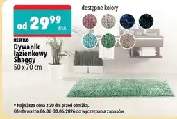 Biedronka Dywanik Shaggy oferta
