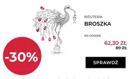 Briju Broszka Briju BR-000088 oferta