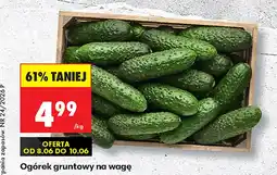 Biedronka Ogórek oferta