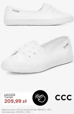 CCC Trampki Lacoste oferta