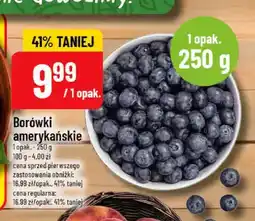 Polomarket Borówki amerykańskie oferta