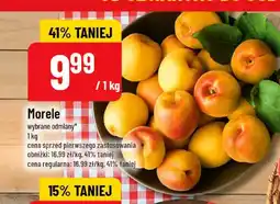 Polomarket Morele oferta