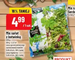 Polomarket Mix sałat z botwinką Zielony Smak oferta