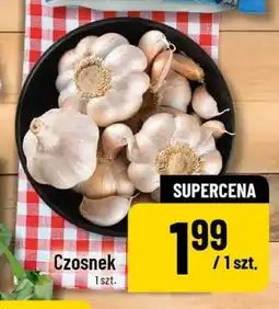 Polomarket Czosnek oferta