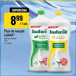 Polomarket Płyn do naczyń Ludwik Miętowy oferta