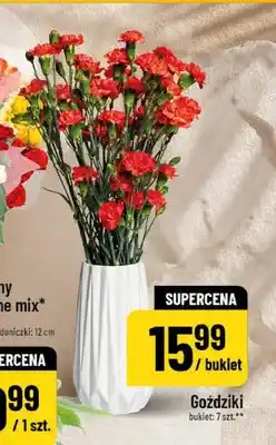 Polomarket Goździki bukiet 7-pak oferta