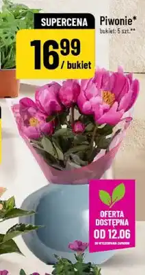 Polomarket Piwonie bukiet 5-pak oferta