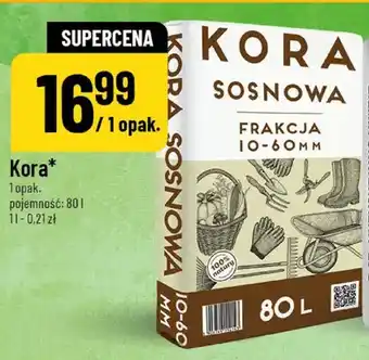 Polomarket Kora sosnowa frakcja 10-60 mm oferta