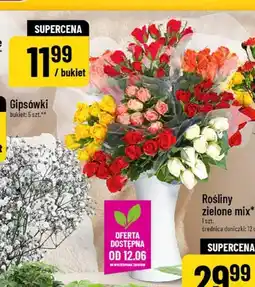 Polomarket Róże bukiet 9-pak oferta