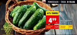 Biedronka Ogórek gruntowy oferta