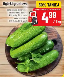 Polomarket Ogórki gruntowe oferta