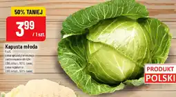 Polomarket Kapusta młoda oferta