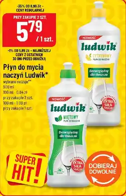 Polomarket Płyn do mycia naczyń Ludwik oferta