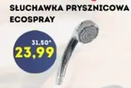 Hale Banacha Słuchawka prysznicowa ecospray oferta