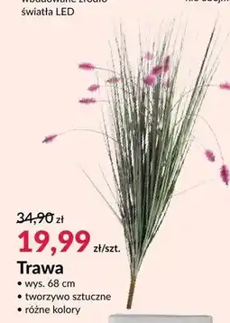 Agata Meble Trawa oferta