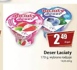 Premium Nasz Sklep Deser Łaciaty jagodowy oferta