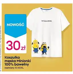 Pepco Koszulka męska Minionki oferta