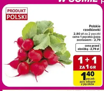 Rzodkiewki polskie
