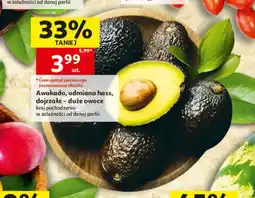 Auchan Awokado odmiana hass dojrzałe oferta