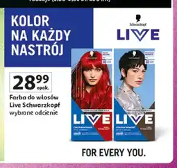 Auchan Farba do włosów Schwarzkopf Live oferta