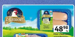 Auchan Filet z kurczaka zagrodowego oferta