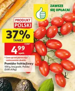 Auchan Pomidor koktajlowy polski oferta