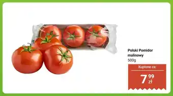 Dino Pomidor malinowy polski oferta