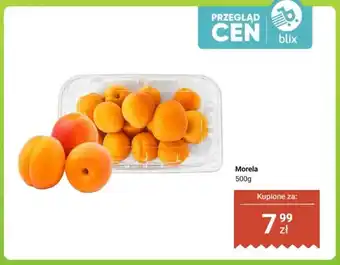 Dino Morela oferta
