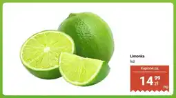 Dino Limonka luz oferta