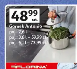 Auchan Garnek Antonio Florina oferta