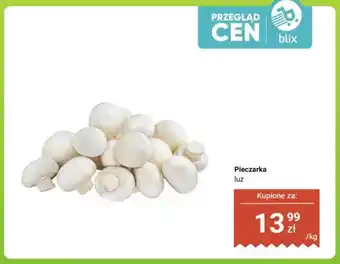 Dino Pieczarka luz oferta