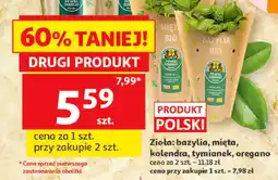 Auchan Zioła mięta Pewni Dobrego oferta