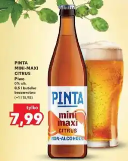 Kaufland PINTA MINI-MAXI CITRUS oferta