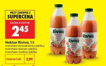 Nektar Riviva, 1 l