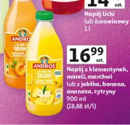 Auchan Andros oferta