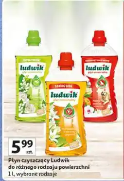 Auchan Płyn czyszczący Ludwik oferta