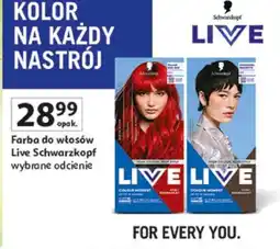 Auchan Farba do włosów Live Schwarzkopf oferta
