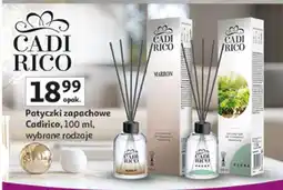 Auchan Cadirico oferta