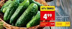 Biedronka Ogórek gruntowy na wagę oferta