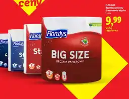 Lidl Ręcznik papierowy Floralys 2-warstwowy big size oferta
