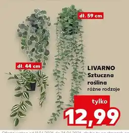 Kaufland Sztuczna roślina Livarno oferta